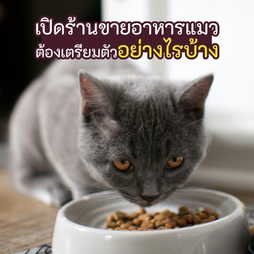 ร้านขายอาหารสัตว์เลี้ยง คือ ธุรกิจยอดฮิตที่ไม่ว่าจะเป็นยุคไหนก็ขายดีมีรายได้เสมอ แต่บอกเลยว่าหากคิดจะเปิดร้านขายอาหารสัตว์ ต้องทำการบ้านกันสักหน่อย