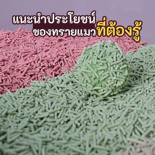 ทรายแมวเต้าหู้
