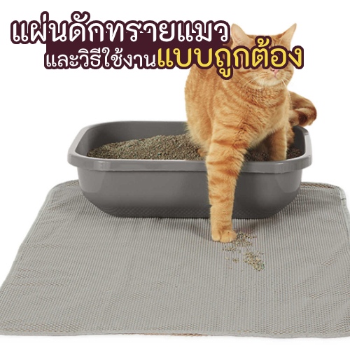 แผ่นดักทรายแมว ถือเป็นอุปกรณ์สัตว์เลี้ยงอีก 1 ชนิดที่สามารถใช้งานควบคู่กับการใช้ทรายแมวได้เป็นอย่างดี ซึ่งการใช้งานอุปกรณ์ประเภทแผ่นดักทรายแมวนั้น จะช่วยลดอัตรา